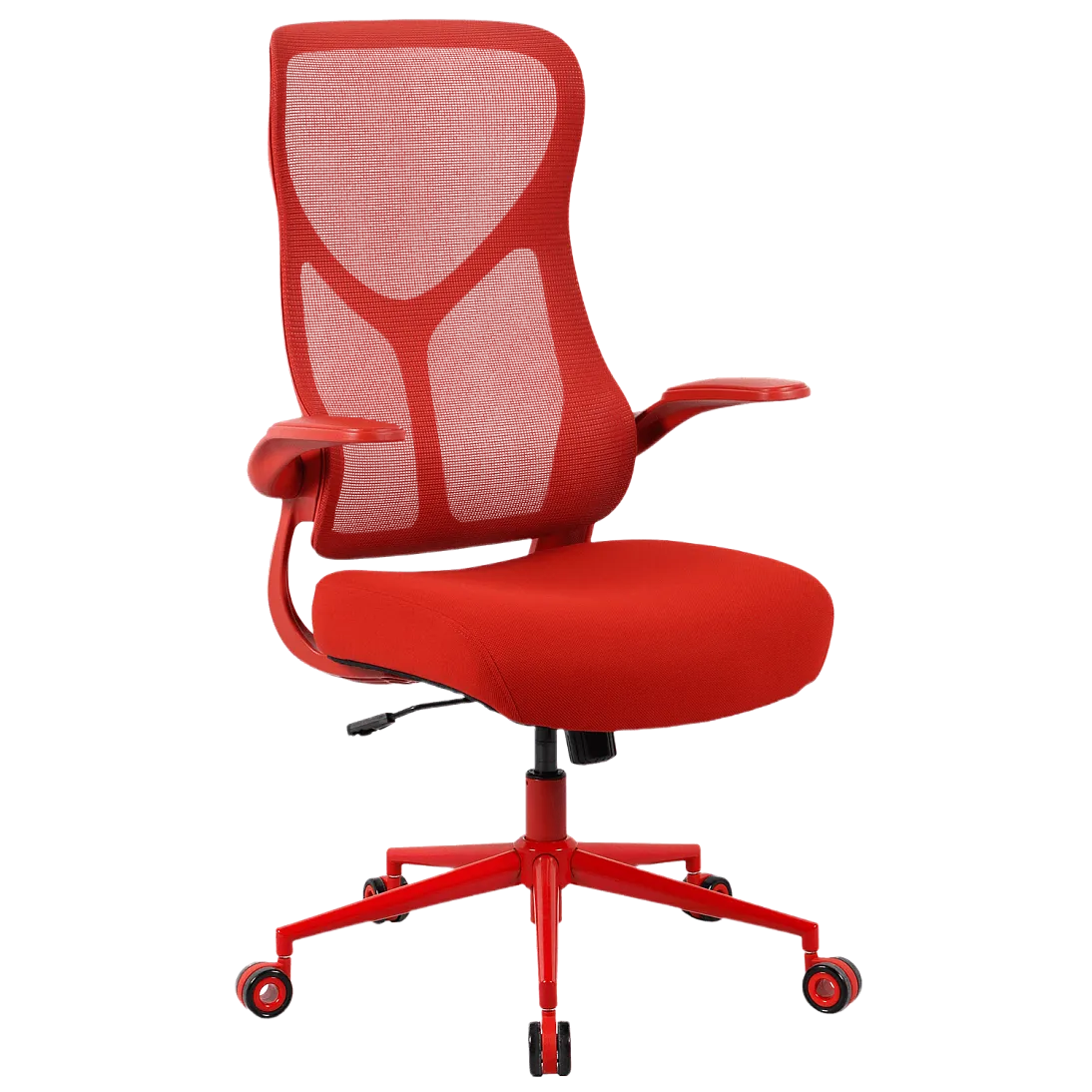 Freelancer Y2, фото