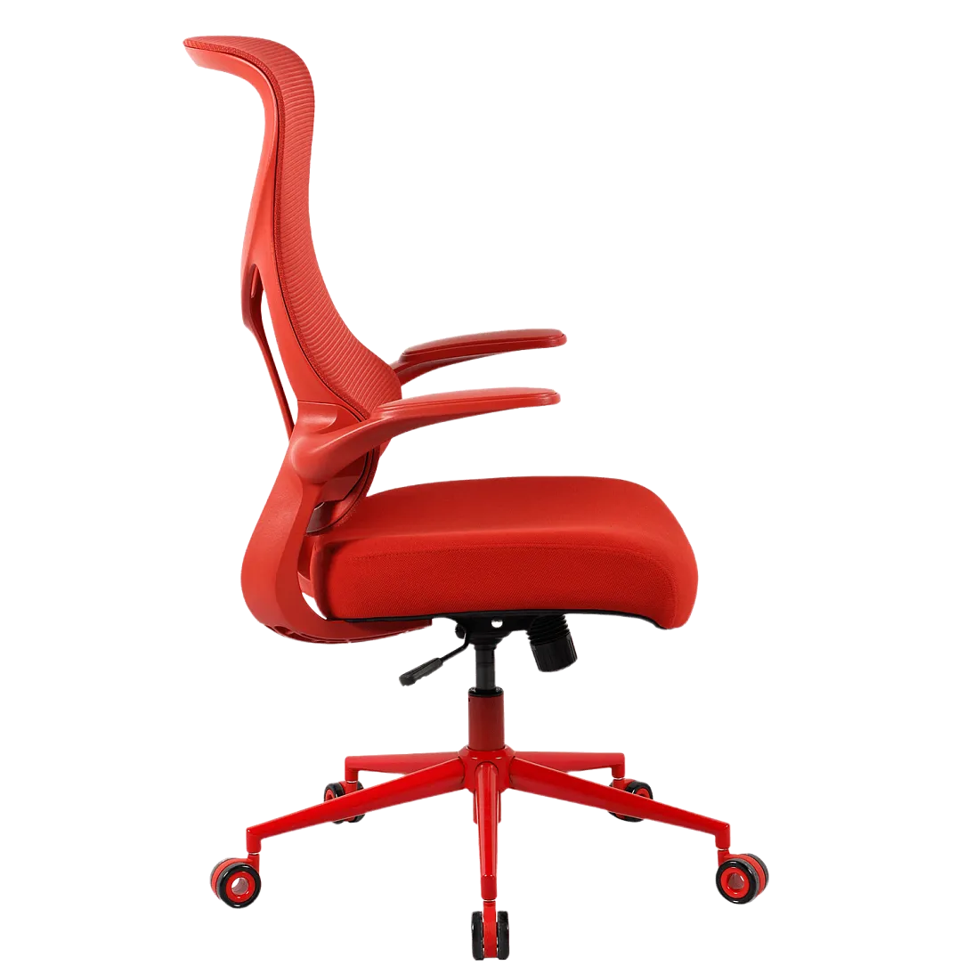 Freelancer Y2, фото