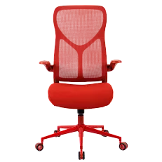 Freelancer Y2, фото