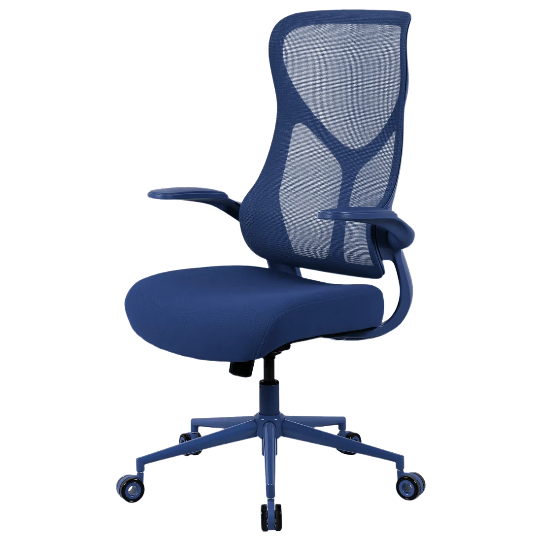 Freelancer Y2, фото