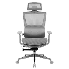 Freelancer Z9, фото