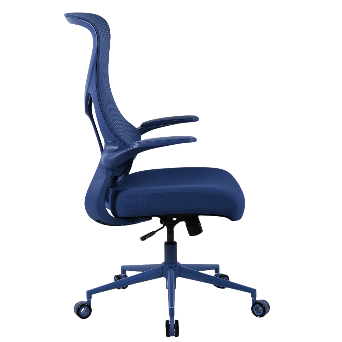 Freelancer Y2, фото