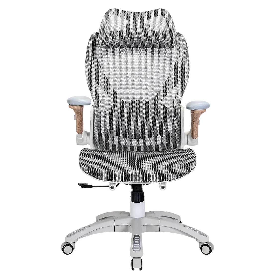 X-Prime Eco, фото