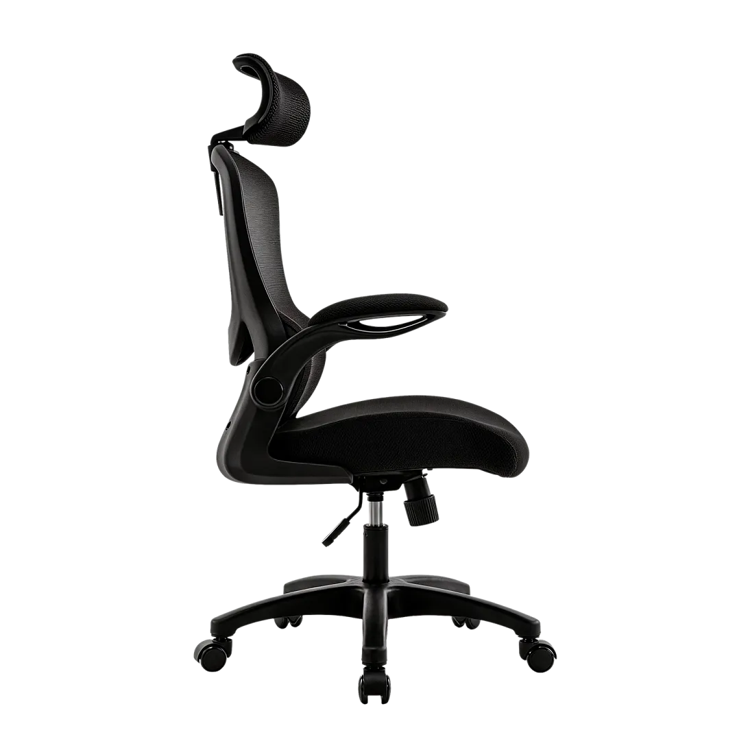 Vectis Life, фото