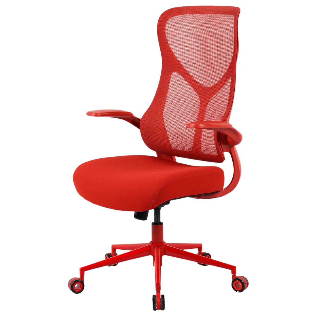 Freelancer Y2, фото