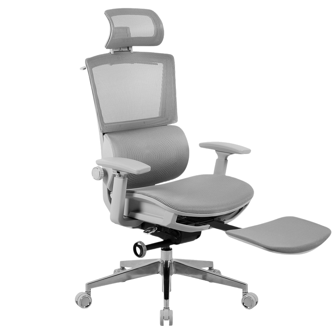 Freelancer Z9, фото