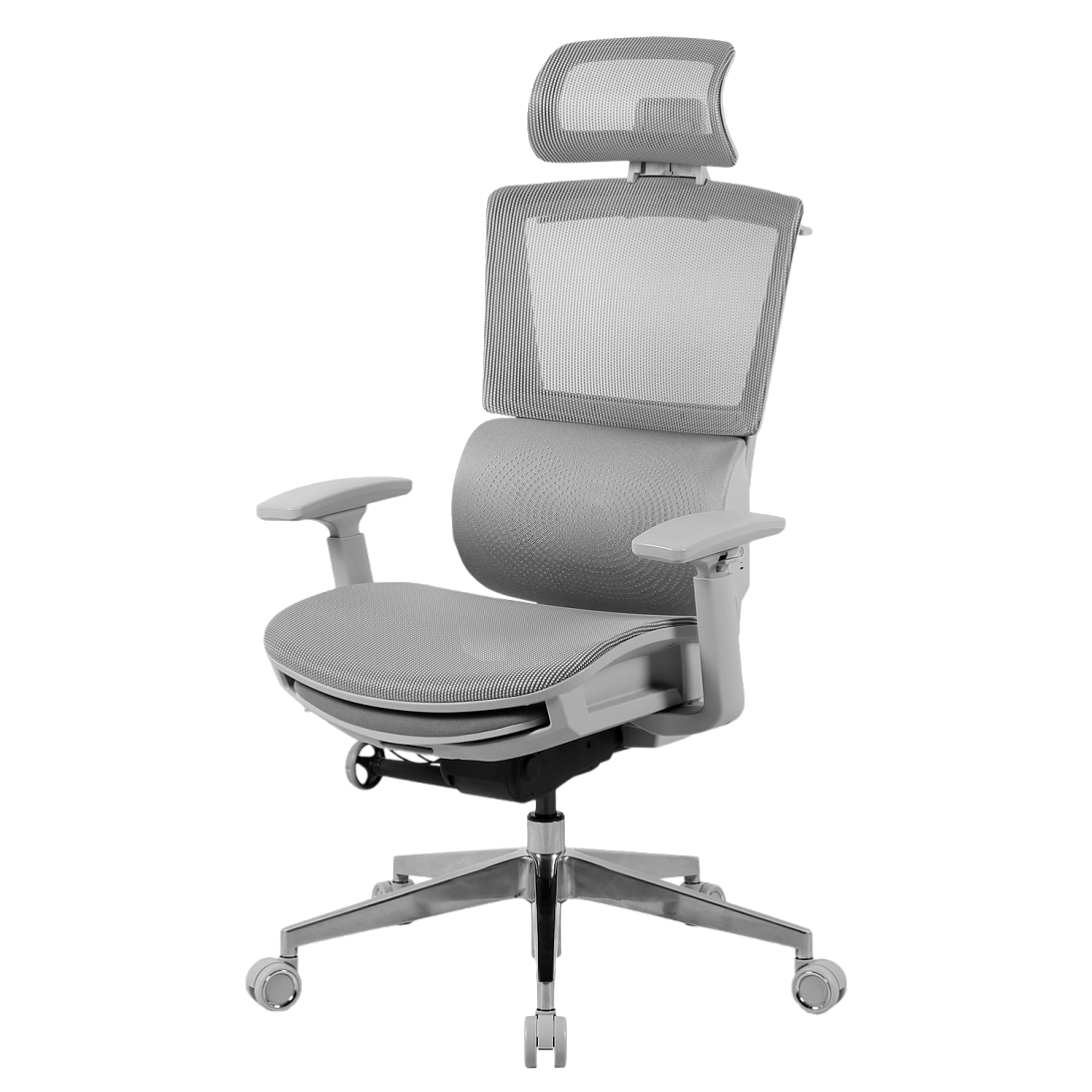 Freelancer Z9, фото