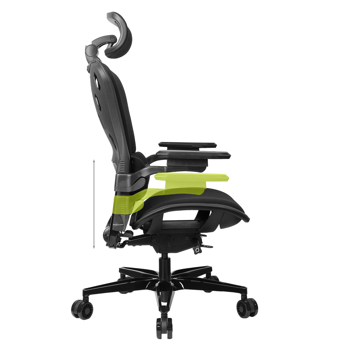 Freelancer W8, фото