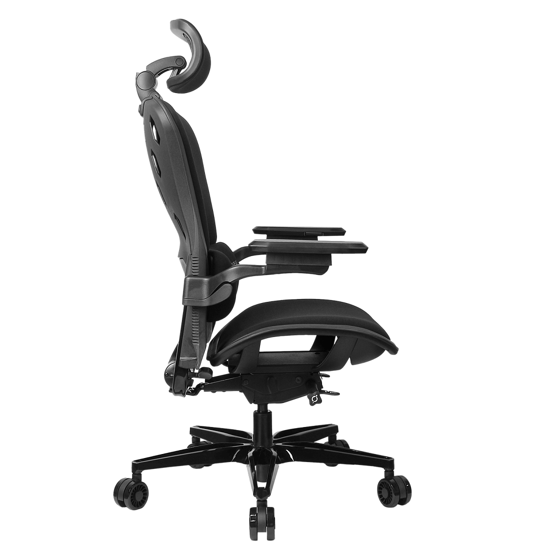 Freelancer W8, фото